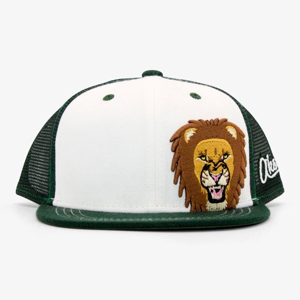 Lion Youth Baseball Hat